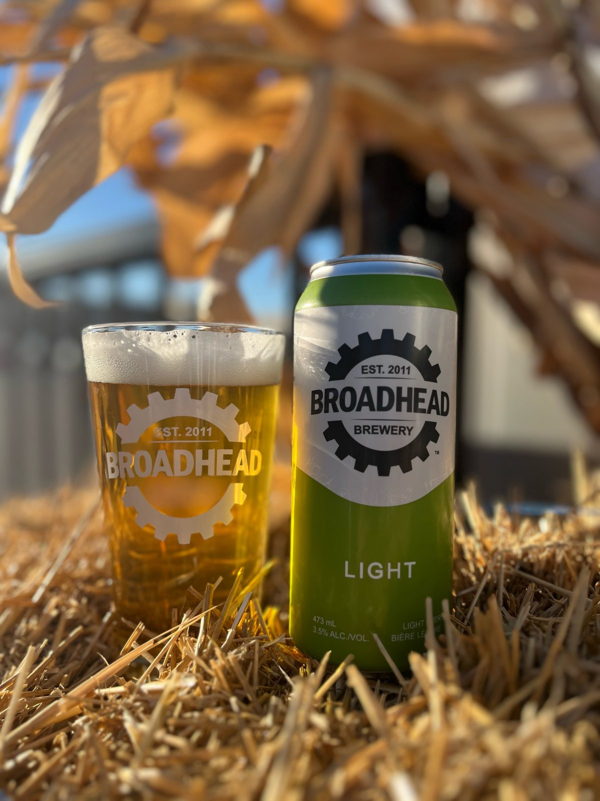Introducing Broadhead Light Broadhead Beer